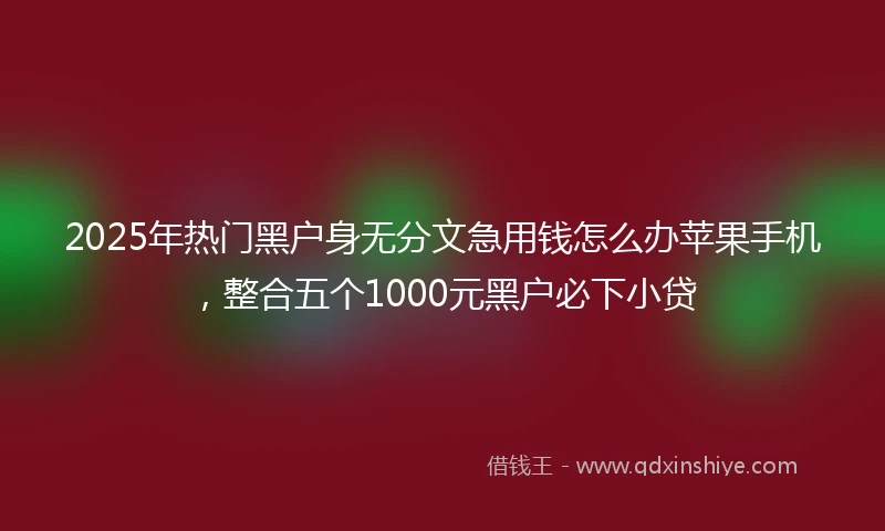 2025年热门黑户身无分文急用钱怎么办苹果手机，整合五个1000元黑户必下小贷