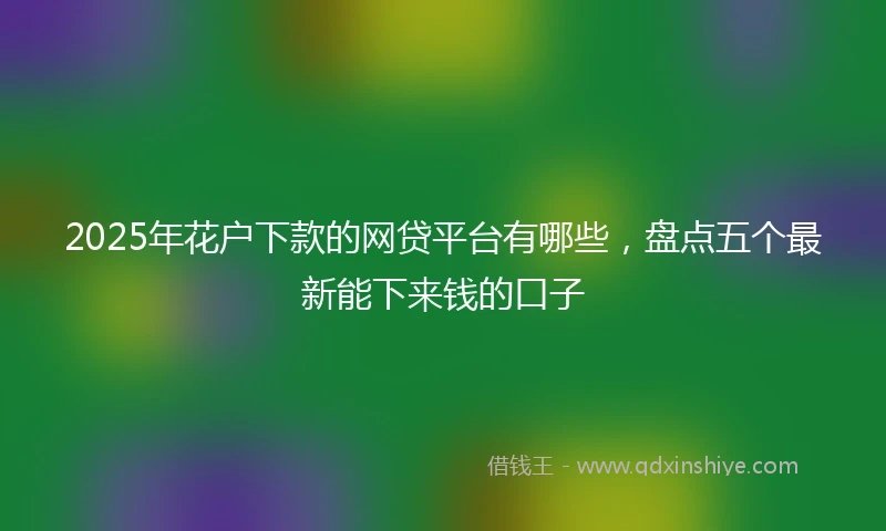 2025年花户下款的网贷平台有哪些，盘点五个最新能下来钱的口子