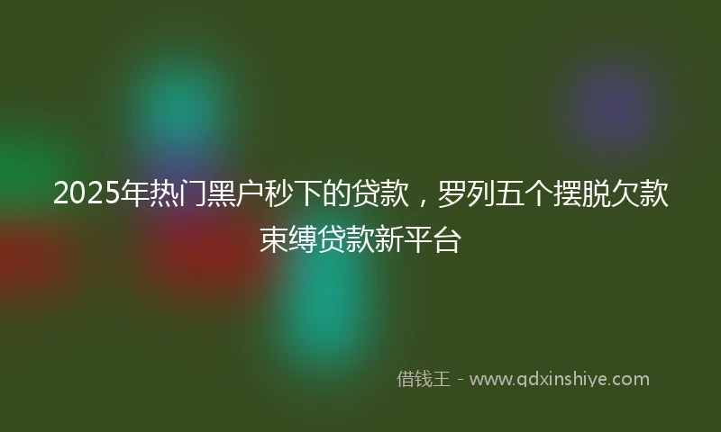 2025年热门黑户秒下的贷款，罗列五个摆脱欠款束缚贷款新平台