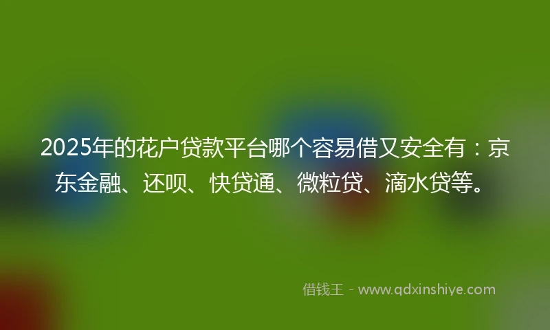 2025年的花户贷款平台哪个容易借又安全有：京东金融、还呗、快贷通、微粒贷、滴水贷等。
