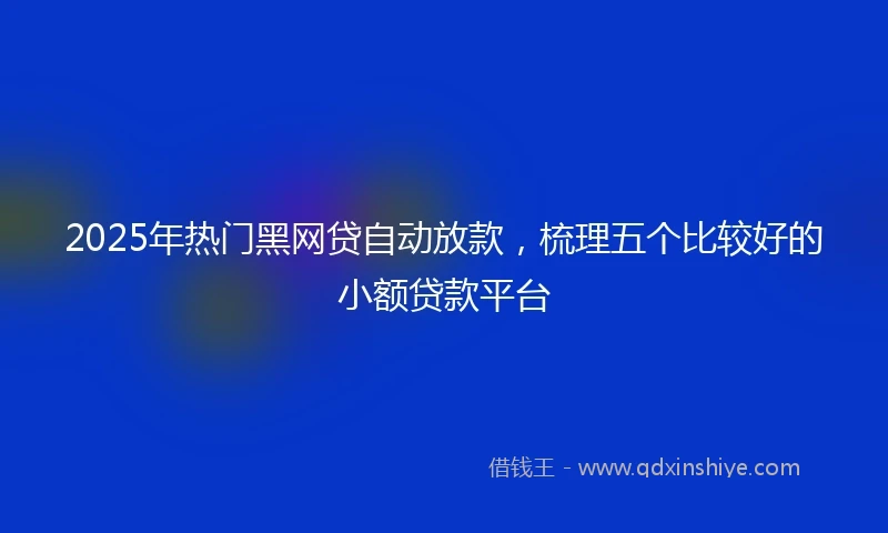 2025年热门黑网贷自动放款，梳理五个比较好的小额贷款平台