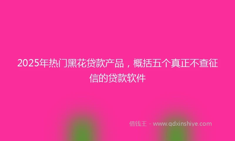 2025年热门黑花贷款产品，概括五个真正不查征信的贷款软件