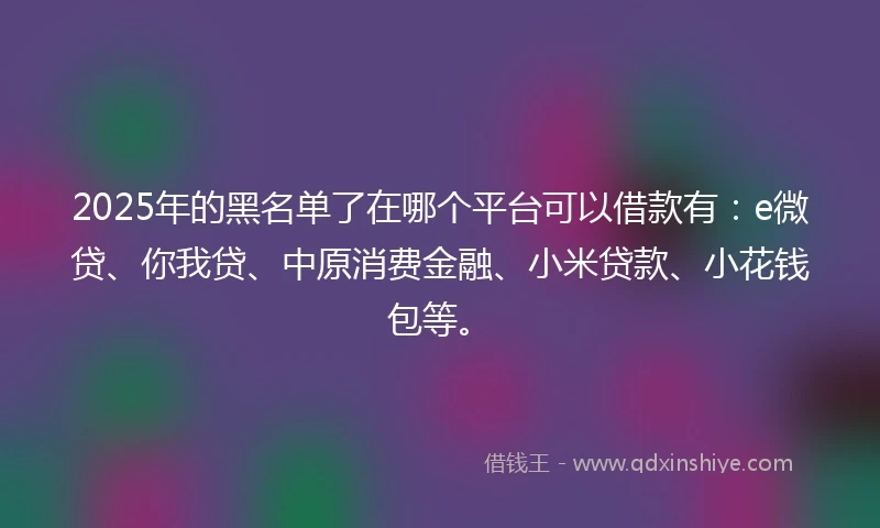 2025年的黑名单了在哪个平台可以借款有：e微贷、你我贷、中原消费金融、小米贷款、小花钱包等。