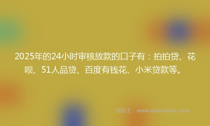 2025年的24小时审核放款的口子有：拍拍贷、花呗、51人品贷、百度有钱花、小米贷款等。