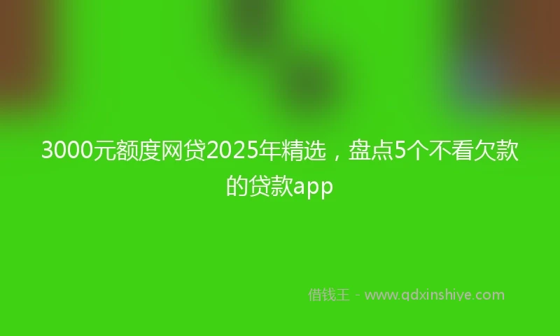 3000元额度网贷2025年精选，盘点5个不看欠款的贷款app