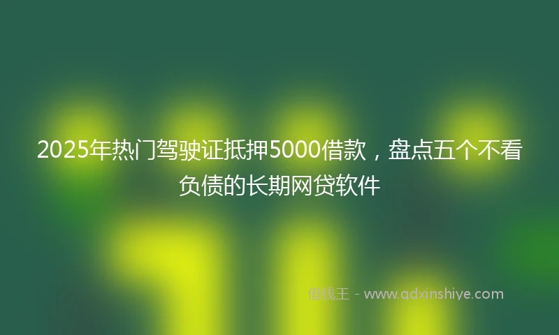 2025年热门驾驶证抵押5000借款，盘点五个不看负债的长期网贷软件