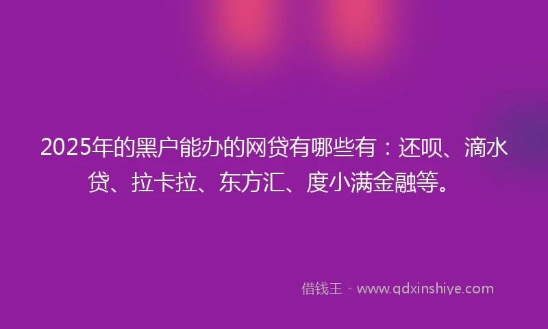 2025年的黑户能办的网贷有哪些有：还呗、滴水贷、拉卡拉、东方汇、度小满金融等。