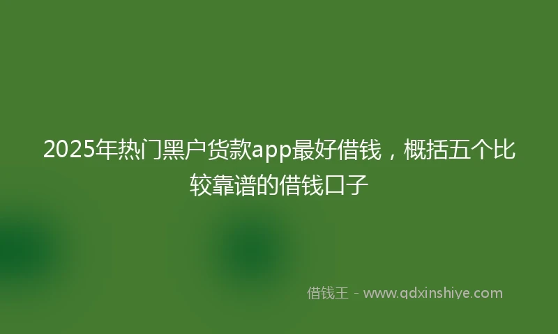 2025年热门黑户货款app最好借钱，概括五个比较靠谱的借钱口子