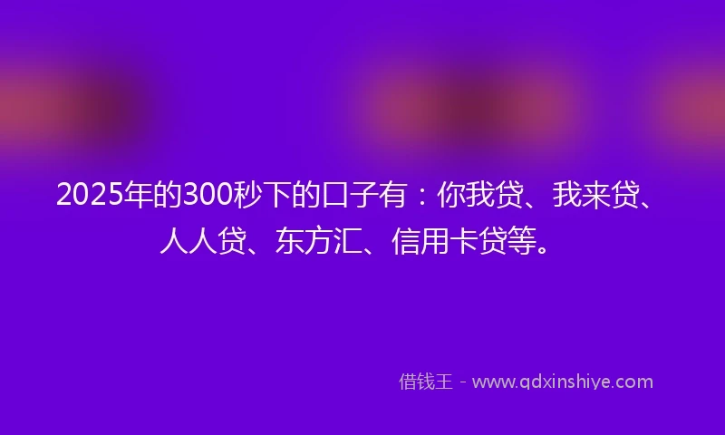2025年的300秒下的口子有：你我贷、我来贷、人人贷、东方汇、信用卡贷等。