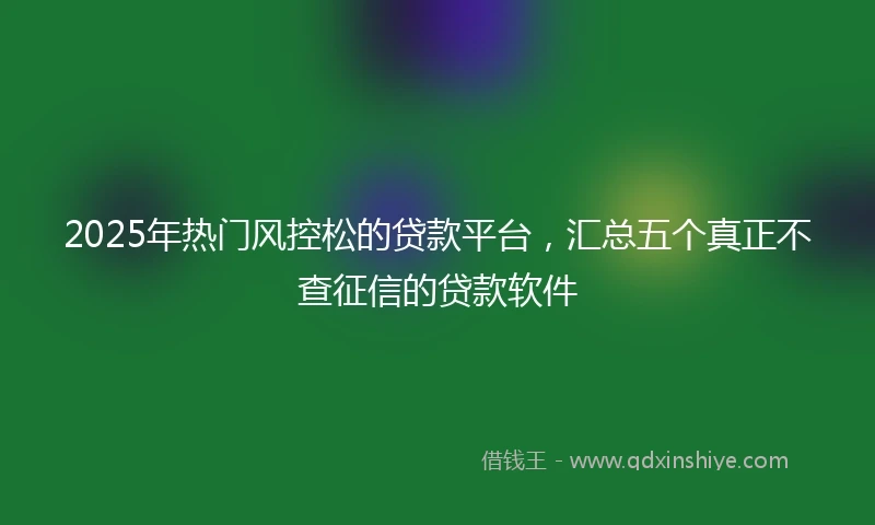 2025年热门风控松的贷款平台，汇总五个真正不查征信的贷款软件