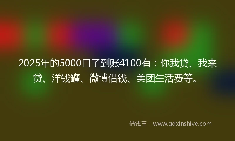 2025年的5000口子到账4100有：你我贷、我来贷、洋钱罐、微博借钱、美团生活费等。