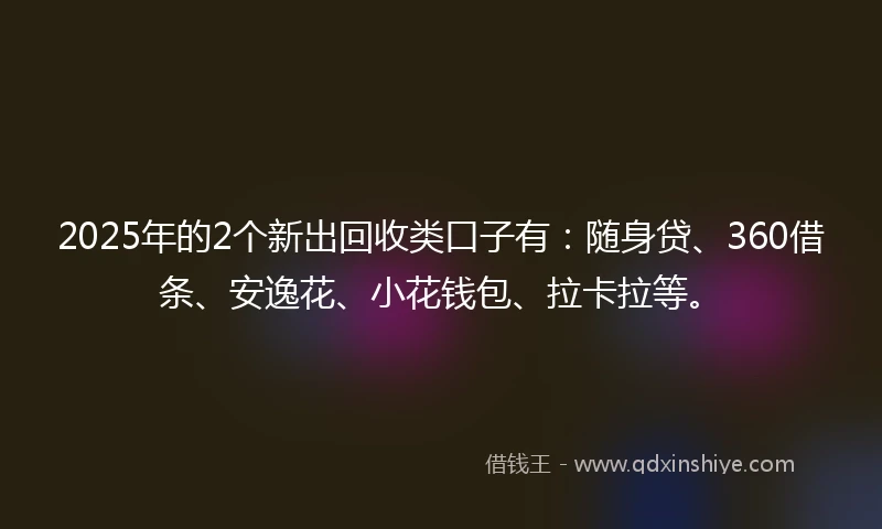 2025年的2个新出回收类口子有：随身贷、360借条、安逸花、小花钱包、拉卡拉等。