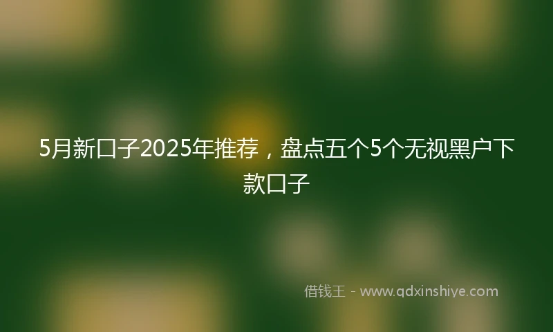 5月新口子2025年推荐，盘点五个5个无视黑户下款口子