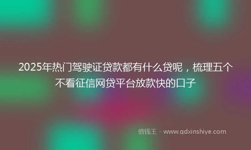 2025年热门驾驶证贷款都有什么贷呢，梳理五个不看征信网贷平台放款快的口子