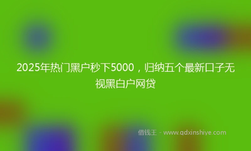 2025年热门黑户秒下5000，归纳五个最新口子无视黑白户网贷