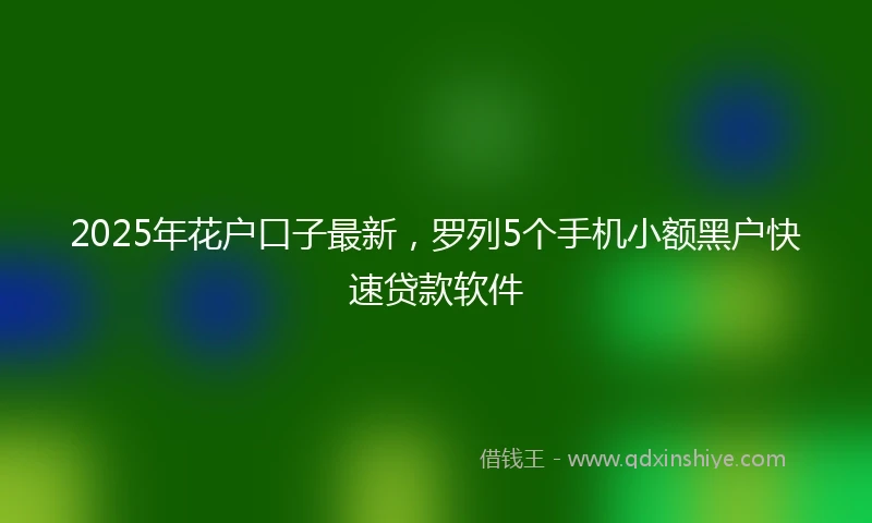 2025年花户口子最新，罗列5个手机小额黑户快速贷款软件