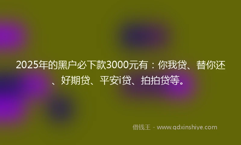 2025年的黑户必下款3000元有：你我贷、替你还、好期贷、平安i贷、拍拍贷等。