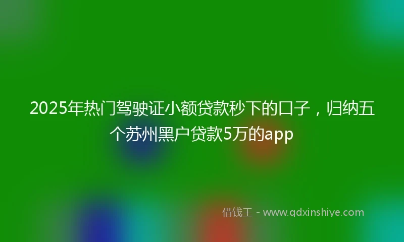 2025年热门驾驶证小额贷款秒下的口子，归纳五个苏州黑户贷款5万的app