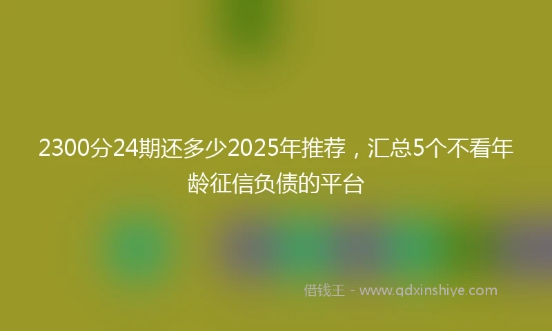 2300分24期还多少2025年推荐，汇总5个不看年龄征信负债的平台