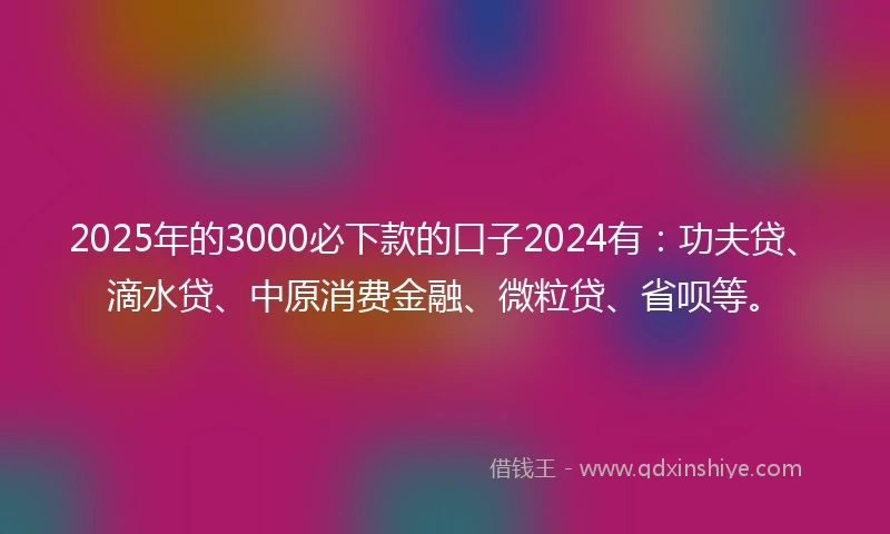 2025年的3000必下款的口子2024有：功夫贷、滴水贷、中原消费金融、微粒贷、省呗等。