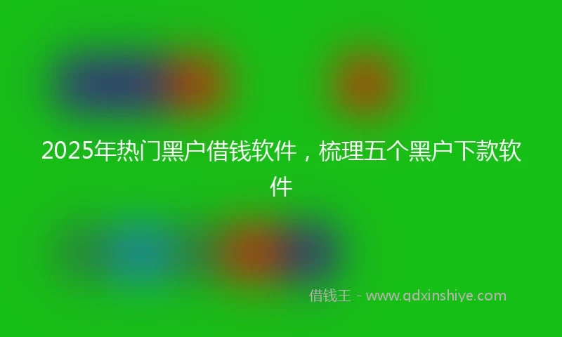 2025年热门黑户借钱软件，梳理五个黑户下款软件
