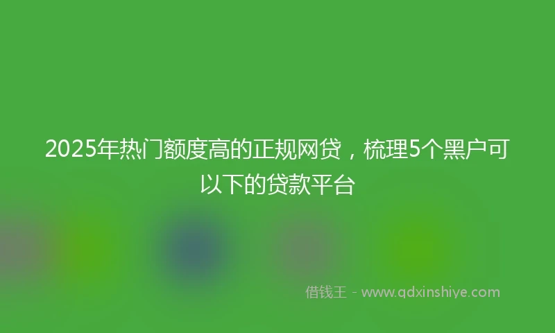 2025年热门额度高的正规网贷，梳理5个黑户可以下的贷款平台