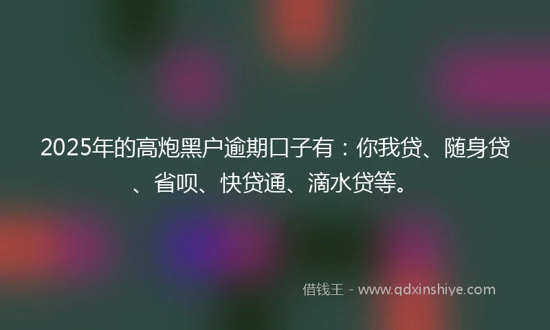 2025年的高炮黑户逾期口子有：你我贷、随身贷、省呗、快贷通、滴水贷等。