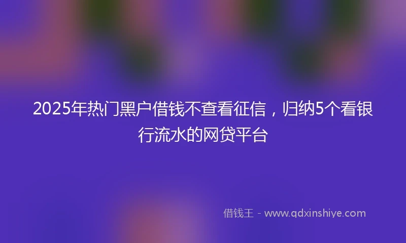 2025年热门黑户借钱不查看征信，归纳5个看银行流水的网贷平台