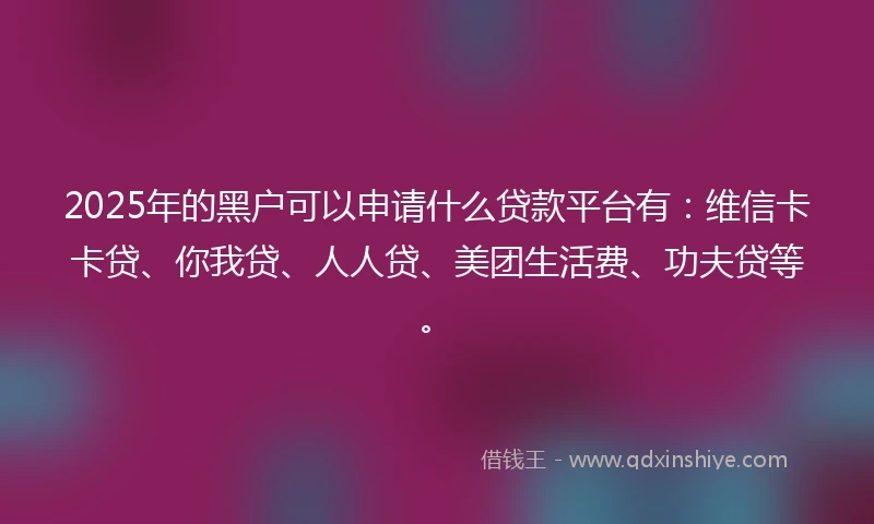 2025年的黑户可以申请什么贷款平台有：维信卡卡贷、你我贷、人人贷、美团生活费、功夫贷等。