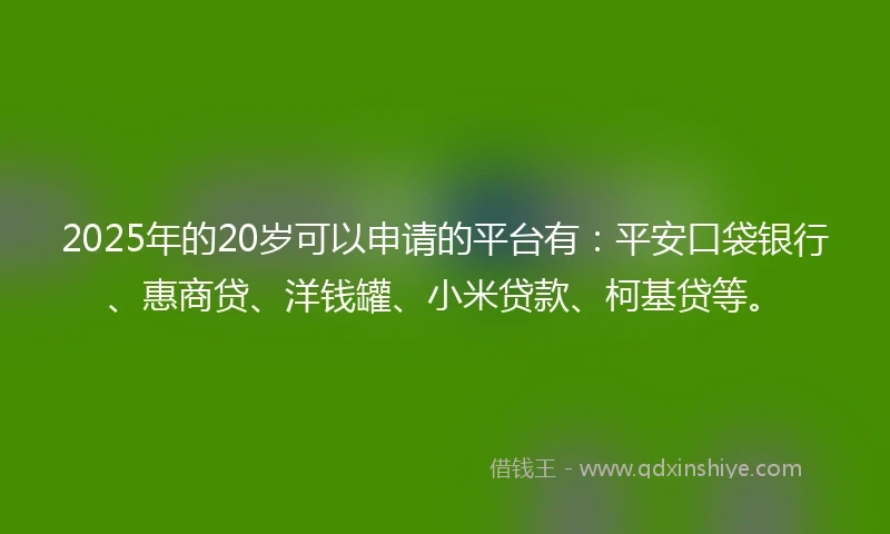2025年的20岁可以申请的平台有：平安口袋银行、惠商贷、洋钱罐、小米贷款、柯基贷等。