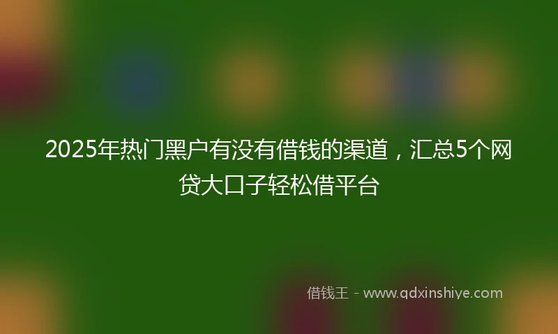 2025年热门黑户有没有借钱的渠道，汇总5个网贷大口子轻松借平台