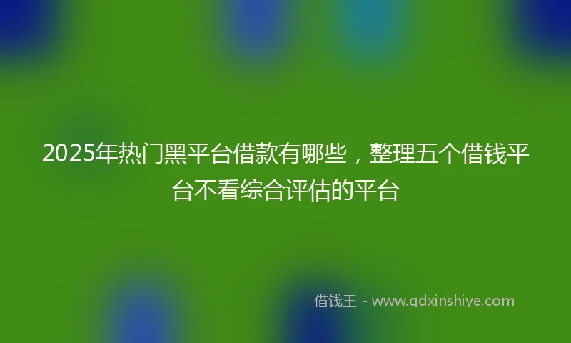 2025年热门黑平台借款有哪些，整理五个借钱平台不看综合评估的平台
