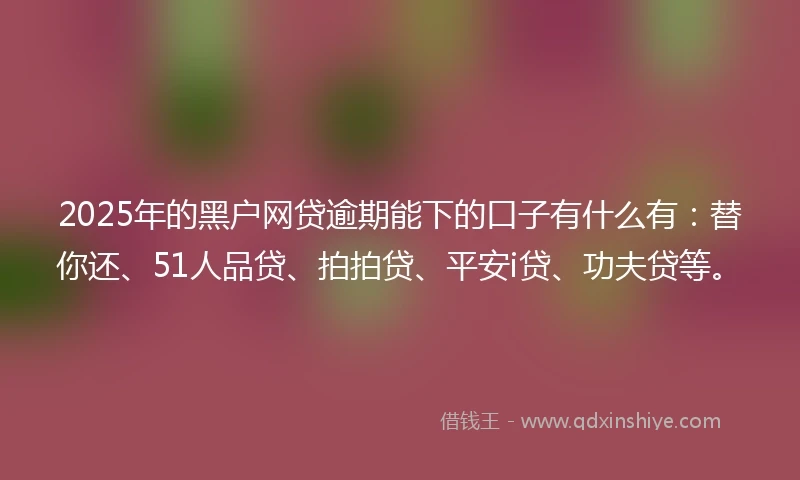 2025年的黑户网贷逾期能下的口子有什么有：替你还、51人品贷、拍拍贷、平安i贷、功夫贷等。