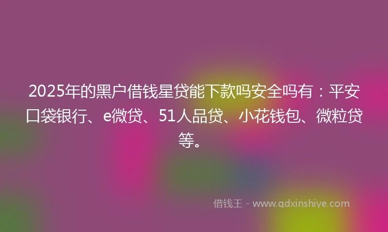 2025年的黑户借钱星贷能下款吗安全吗有：平安口袋银行、e微贷、51人品贷、小花钱包、微粒贷等。
