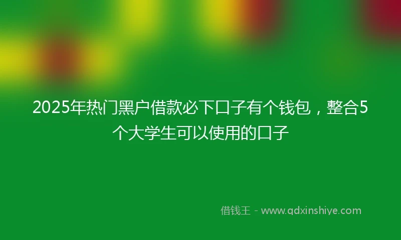 2025年热门黑户借款必下口子有个钱包，整合5个大学生可以使用的口子