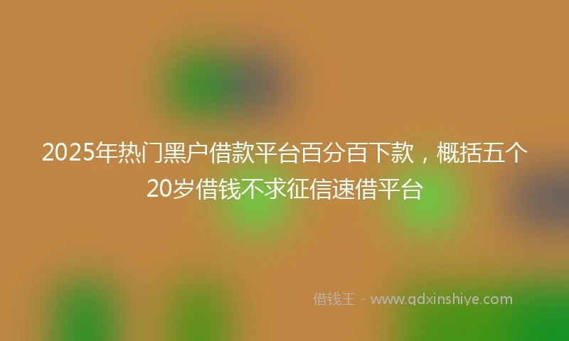 2025年热门黑户借款平台百分百下款，概括五个20岁借钱不求征信速借平台