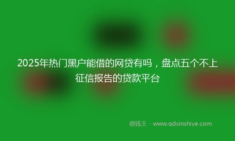 2025年热门黑户能借的网贷有吗，盘点五个不上征信报告的贷款平台