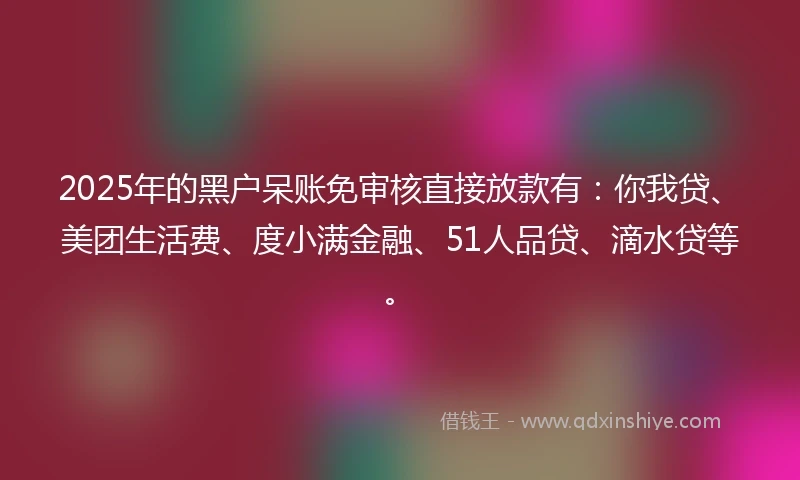2025年的黑户呆账免审核直接放款有：你我贷、美团生活费、度小满金融、51人品贷、滴水贷等。