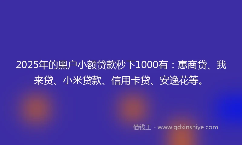 2025年的黑户小额贷款秒下1000有：惠商贷、我来贷、小米贷款、信用卡贷、安逸花等。