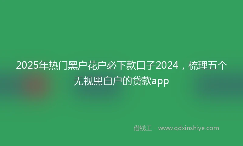2025年热门黑户花户必下款口子2024，梳理五个无视黑白户的贷款app