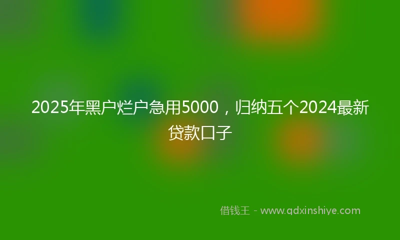 2025年黑户烂户急用5000，归纳五个2024最新贷款口子