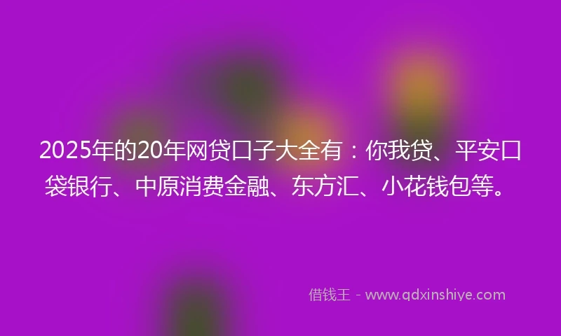 2025年的20年网贷口子大全有：你我贷、平安口袋银行、中原消费金融、东方汇、小花钱包等。