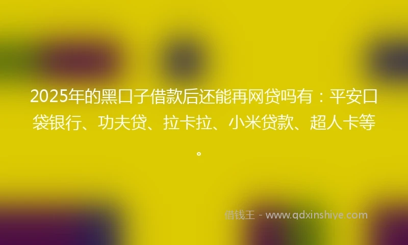 2025年的黑口子借款后还能再网贷吗有：平安口袋银行、功夫贷、拉卡拉、小米贷款、超人卡等。