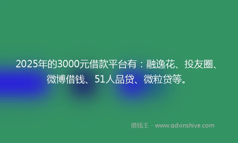 2025年的3000元借款平台有：融逸花、投友圈、微博借钱、51人品贷、微粒贷等。