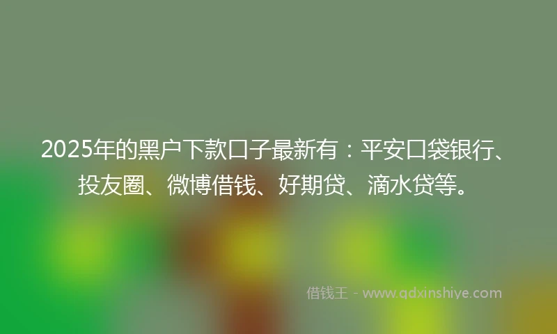 2025年的黑户下款口子最新有：平安口袋银行、投友圈、微博借钱、好期贷、滴水贷等。