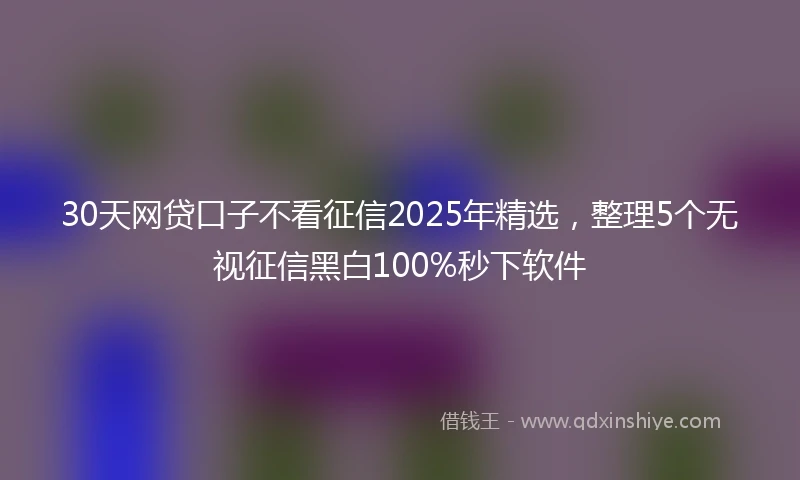 30天网贷口子不看征信2025年精选，整理5个无视征信黑白100%秒下软件