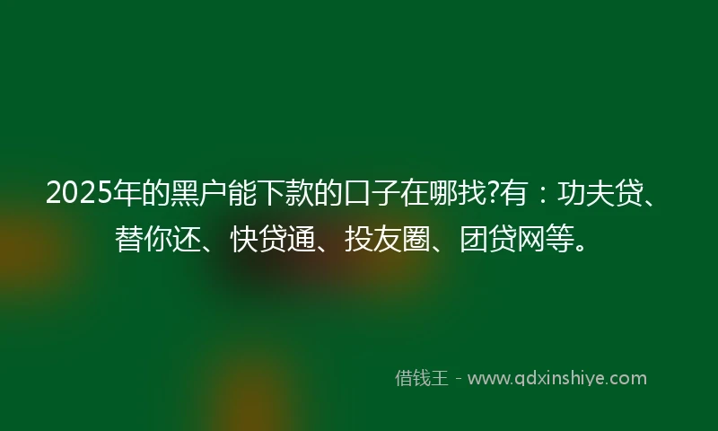 2025年的黑户能下款的口子在哪找?有：功夫贷、替你还、快贷通、投友圈、团贷网等。