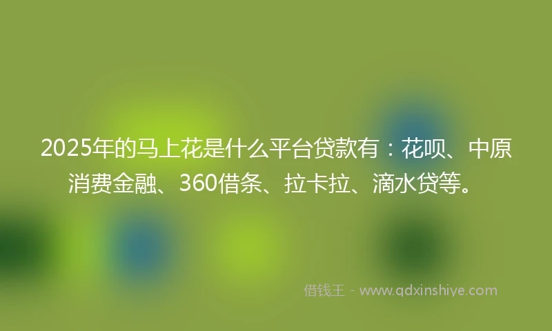 2025年的马上花是什么平台贷款有：花呗、中原消费金融、360借条、拉卡拉、滴水贷等。