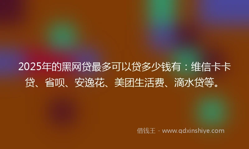 2025年的黑网贷最多可以贷多少钱有：维信卡卡贷、省呗、安逸花、美团生活费、滴水贷等。