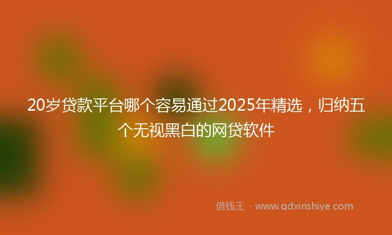 20岁贷款平台哪个容易通过2025年精选，归纳五个无视黑白的网贷软件